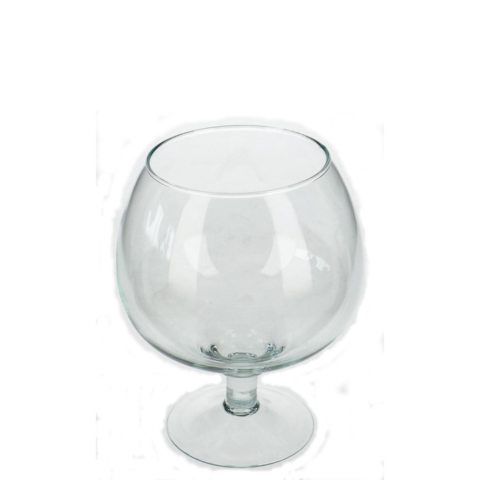 <h4>Cognacglass d09/16*19cm</h4>