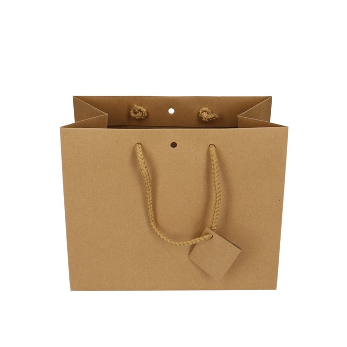 <h4>Bags Gift bag 24*14*19.5cm</h4>