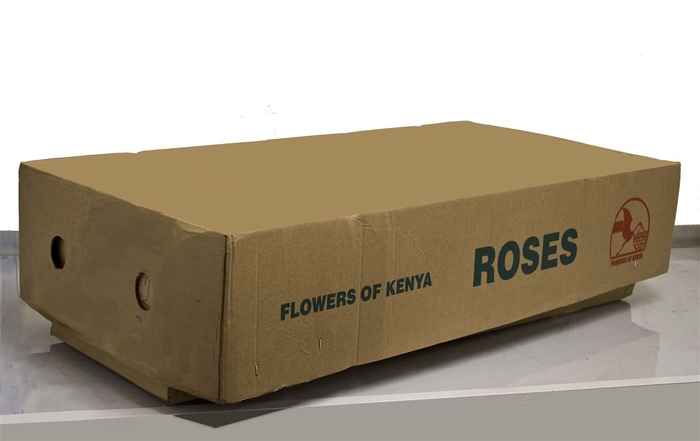 <h4>R Gr Belle Rose</h4>