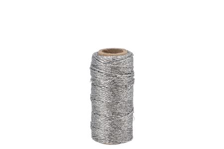 <h4>Lint Flashy Cord 01 Zilver 25mx1,5mm</h4>