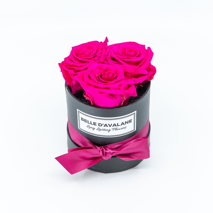 <h4>Box rd 10cm zwart-fuchsia</h4>