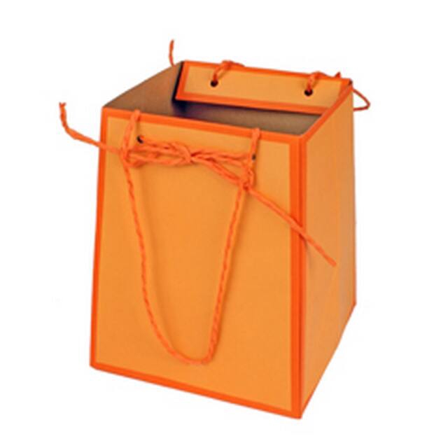 <h4>Bag Easy carton 12/12x15/15xH18cm orange</h4>