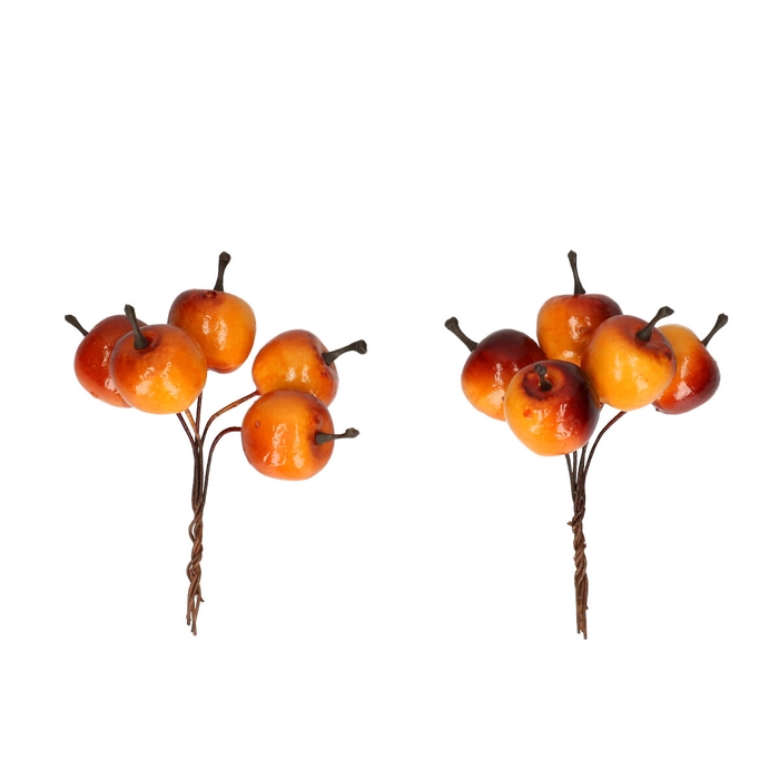 <h4>Decoratie Appel/draad 2.5cm x20</h4>