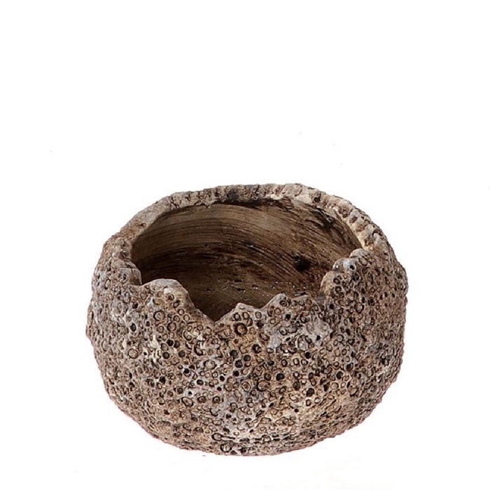 <h4>Keramiek Colazza schaal d22*15.5cm</h4>