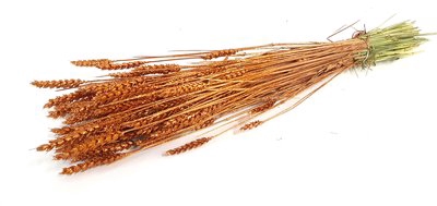 <h4>Triticum per bunch copper with glitter</h4>