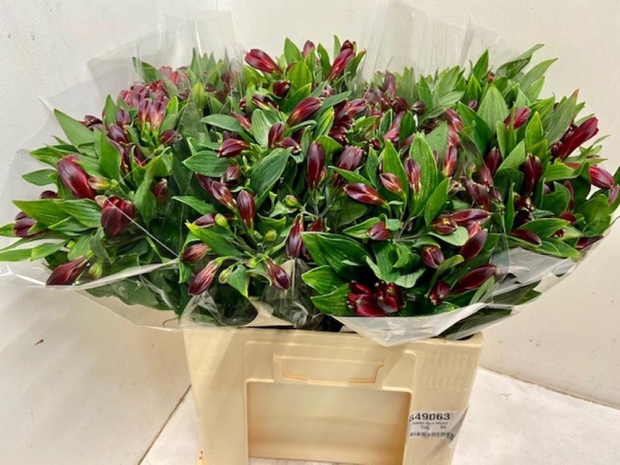 PP Flowers Webshop