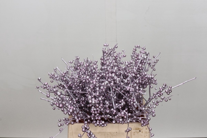 <h4>Ilex paint green</h4>
