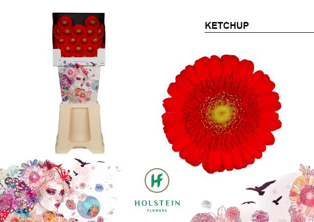 <h4>Germini diamond ketchup</h4>
