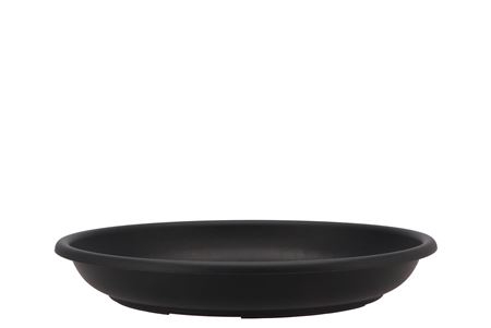 <h4>Bloemschikmateriaal Pl. Schotels 30 Cm P/10 Zwart</h4>
