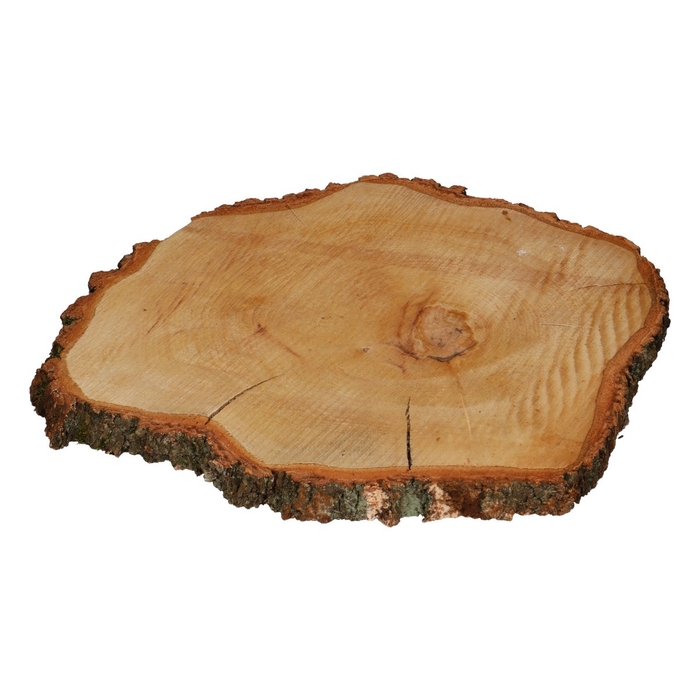 <h4>Dried articles Wood slice birch d40*4cm</h4>