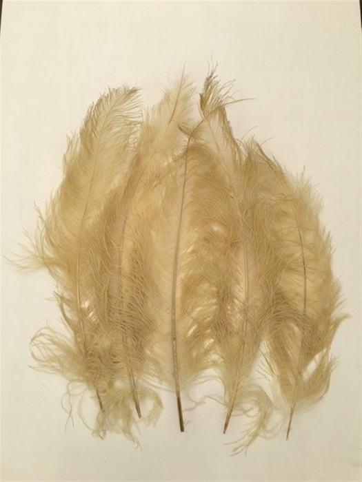 <h4>Basic Ostrich Feathers 55cm 5 Pcs Gold</h4>