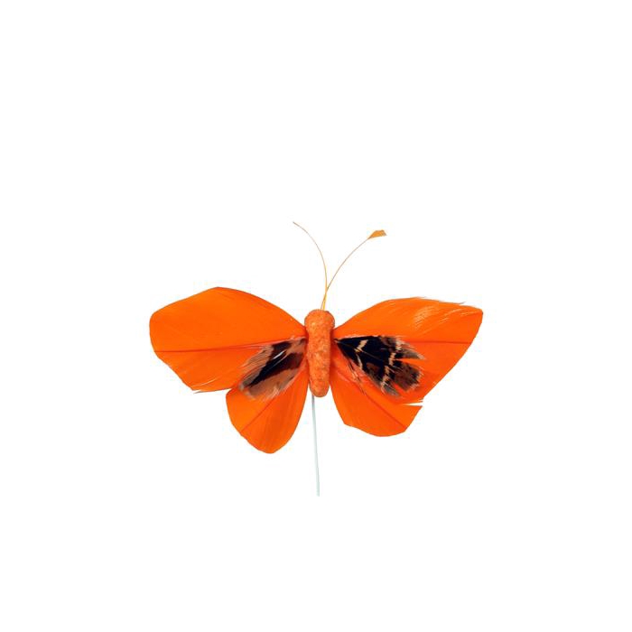 <h4>Bijsteker Butterfly 6x10cm+12cm Draad 48 Stuks Or.</h4>