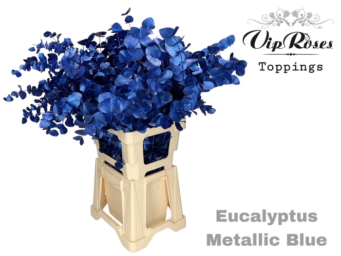 <h4>EUCA CINEREA METALLIC BLUE 300GR</h4>
