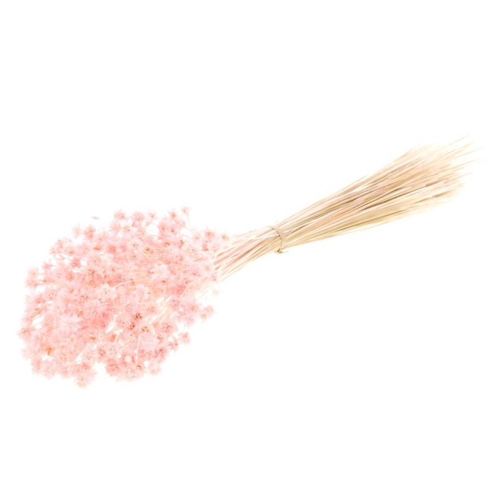 <h4>Hill flower 100gr SB pink misty</h4>