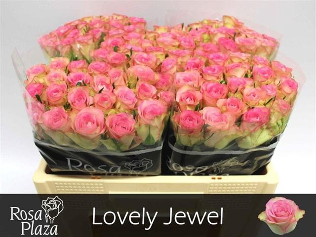 1 Bouquet Artificial Campanula Fake Flower Silk Leaf Home Wedding Party Decor