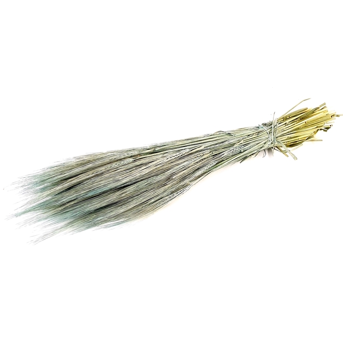 <h4>DRIED FLOWERS - HORDEUM FROSTED LIGHT BLUE</h4>