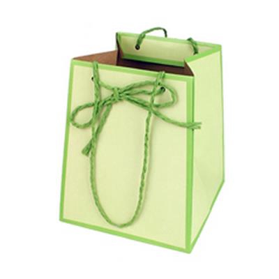 <h4>Bag Easy carton 12/12x15/15xH18cm green</h4>