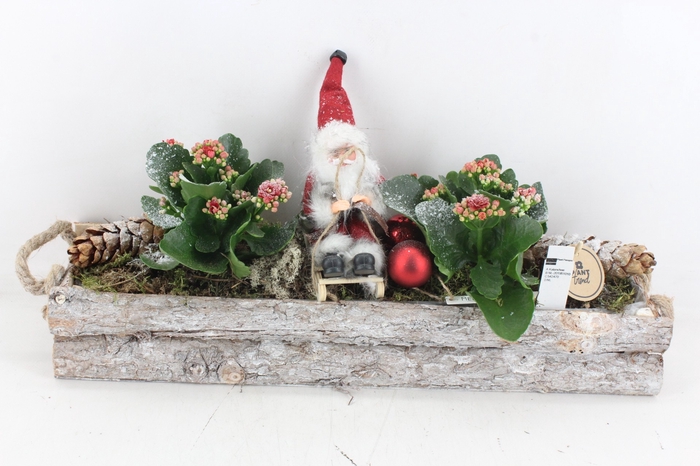 <h4>arr2 PL - Hout balk kerstman kalan.</h4>