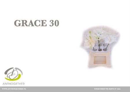 <h4>Anth A Grace 30 Water</h4>