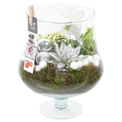 <h4>PTCHS7309 Arrangementen Kerst</h4>