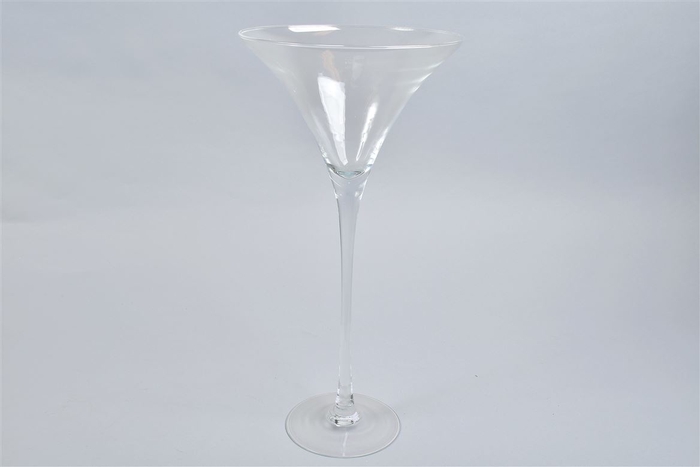 <h4>Glas Martini Op Voet 25x50cm</h4>