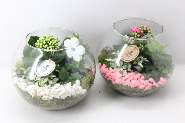 <h4>arr2 PL - Glas bol - roze/wit</h4>