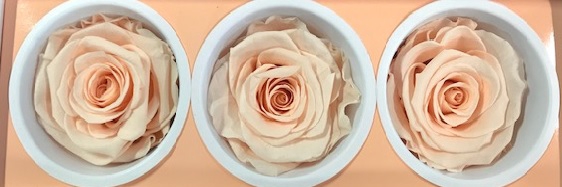 <h4>Rose Monalisa Almond Cream</h4>