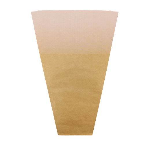 <h4>Hoezen Kraft Elm 50*30*10cm x50</h4>