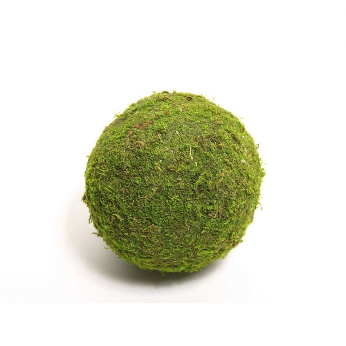 <h4>Dried articles Moss ball 20cm</h4>