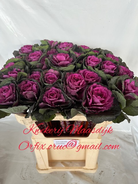 <h4>BRASS ROSE CRANE</h4>
