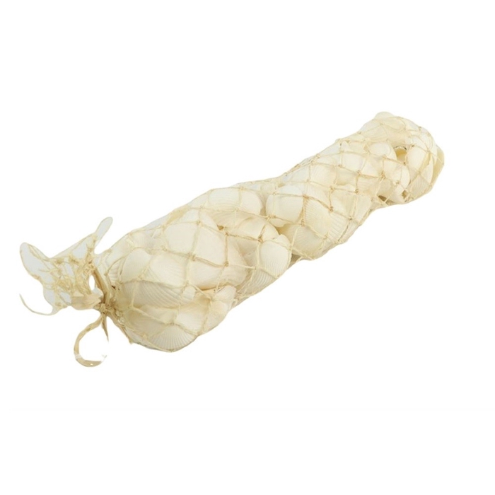 <h4>Shell Cockles Arca 750g</h4>
