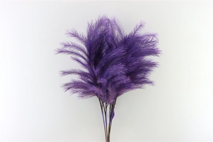 <h4>Deco Stem Panicle Grass 100cm Purple</h4>