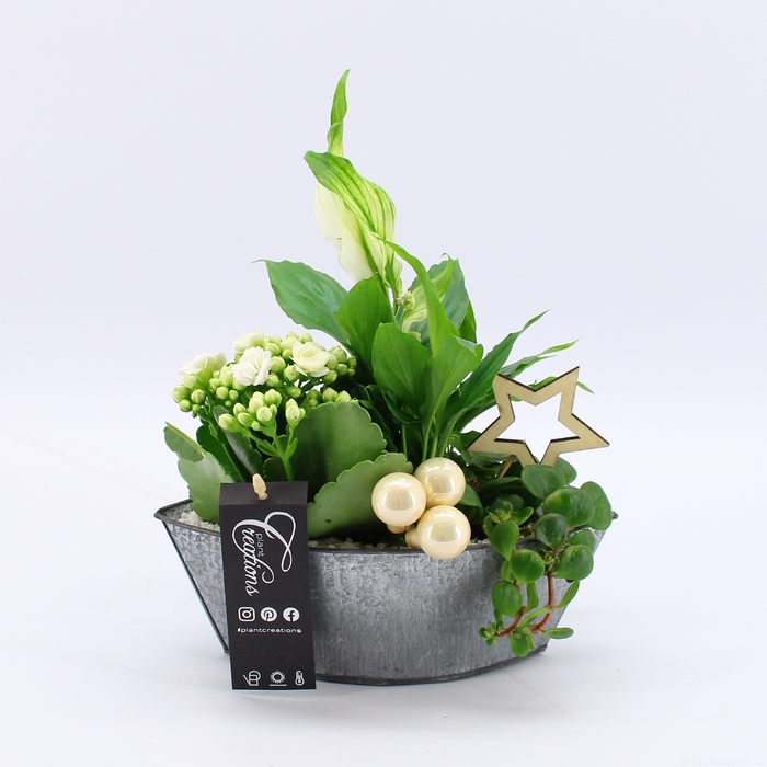<h4>BAXM-2313W Xmas Fundamentals</h4>