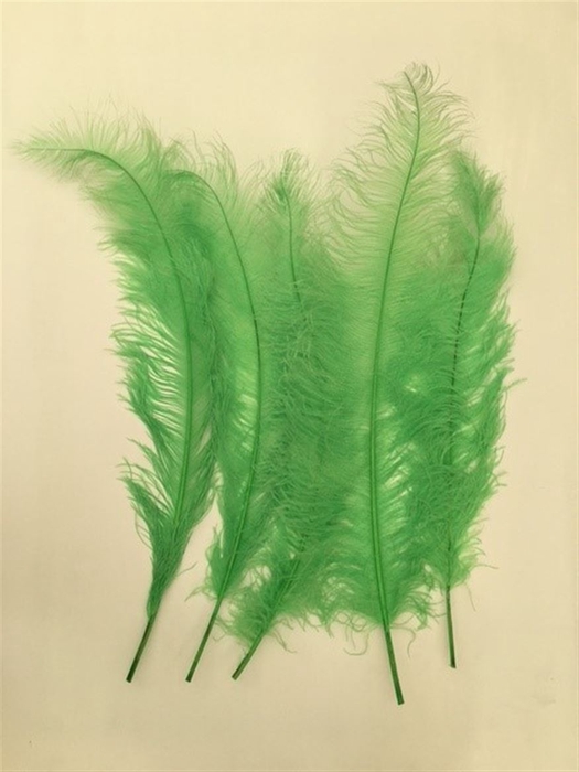 <h4>Basic Ostrich Feathers 55cm 5 Pcs Lime Green</h4>