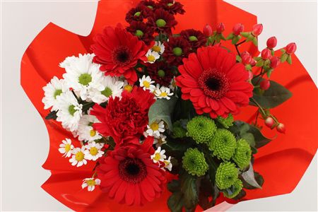 <h4>Bouquet 9-10 stem red</h4>