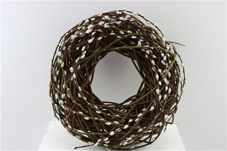 <h4>Wr Pussy Willow 45cm</h4>