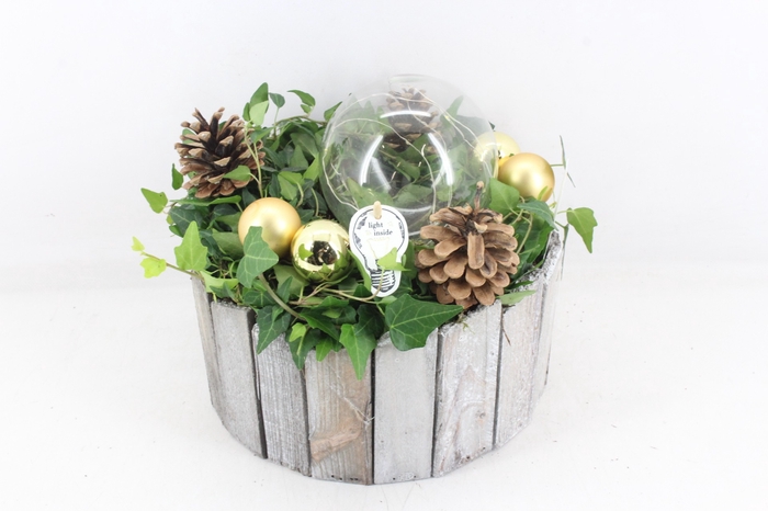<h4>arr2 PL - Hout pot rond hedera goud led</h4>
