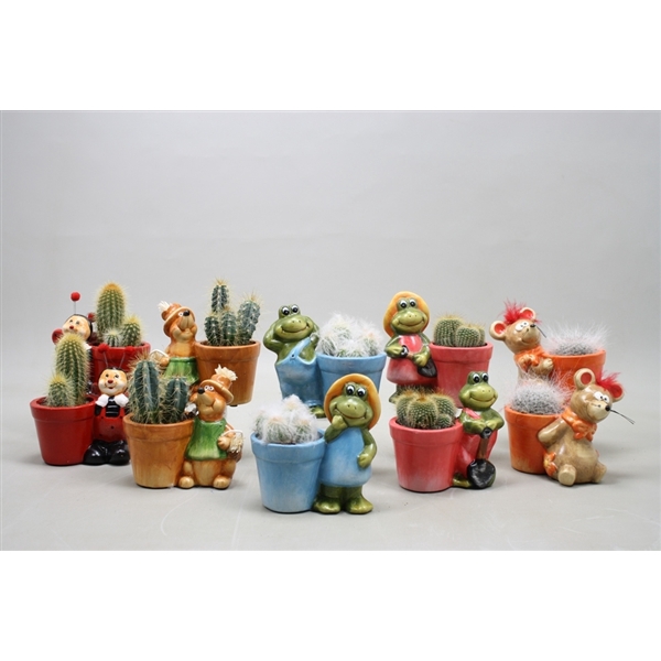 <h4>Cactus mix 5,5 cm. in planter dierfiguren</h4>