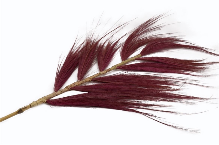 <h4>Deco Stem Feather Grain Wide 210cm Cerise</h4>