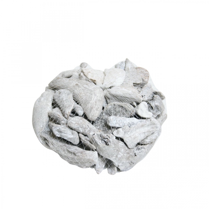 <h4>Dried articles Driftwood 300-500g</h4>