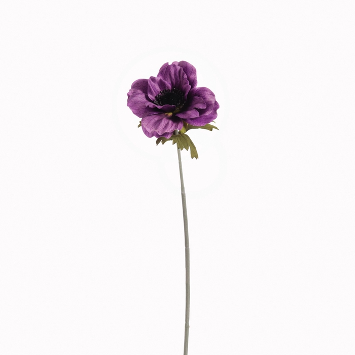 <h4>Af Anemoon L36cm Fuchsia</h4>
