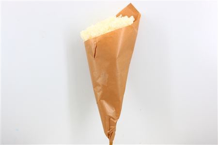 <h4>Pres Hydr Cabeza Bleached Bunch</h4>