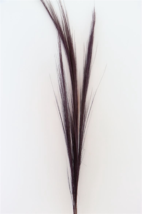 <h4>Deco Stem Grain Grass 3pcs 100cm Purple</h4>