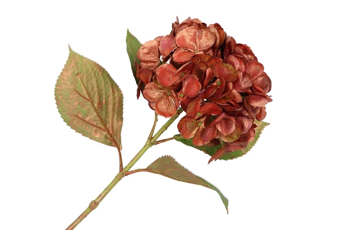 <h4>Silk Hortensia Copper Pink 68cm</h4>