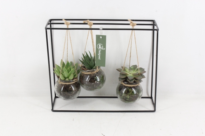 <h4>arr2 MB188 - Ijzer hang rek 3 glas</h4>