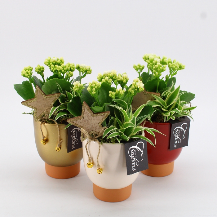 <h4>XMAS-23028M Kerst creatie</h4>