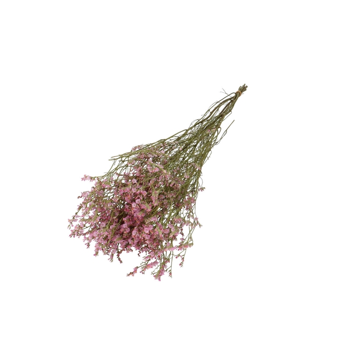 <h4>Droogbloem Limon Diamond 70cm</h4>