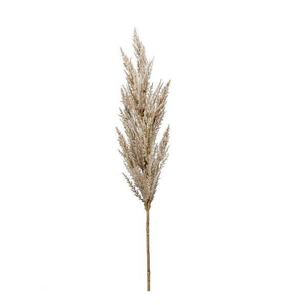 <h4>Silk Pampus grass 92cm</h4>