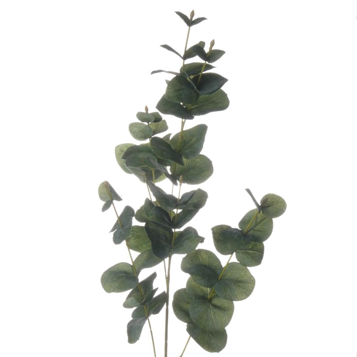 <h4>Af Eucalyptus L90cm Groen</h4>