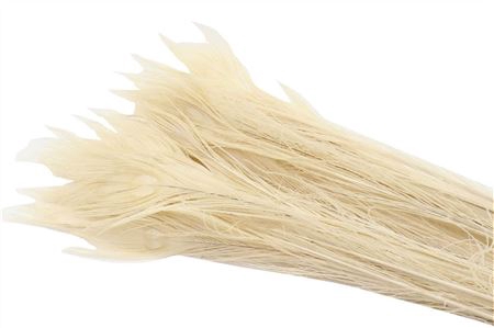 <h4>DRIED FEATHER PEACOCK BLEACHED P. S</h4>
